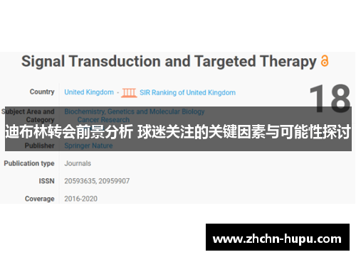 迪布林转会前景分析 球迷关注的关键因素与可能性探讨 迪布林转会前景分析 球迷关注的关键因素与可能性探讨